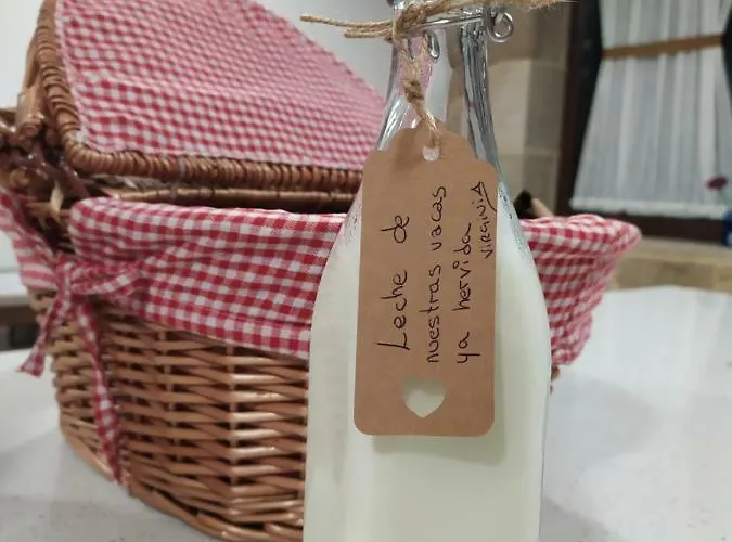 Remanso De Trasfontao Casa Arbores & Bubble